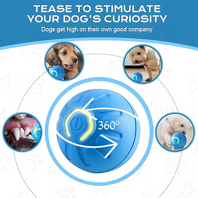 Interactive Dog Ball Toy for Small Dogs-Automatic Self-Moving Pet Toy,USB Rechargeable, Durable & Safe for Mental Stimulation (Blue)