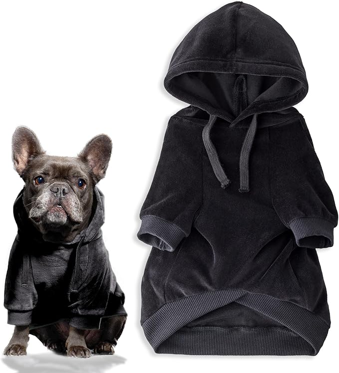 Pet Passion Cooper II Organic Cotton Velour Dog Hoodie Pet Coat for Small, Medium and Large Dogs, Black, XX-Small (4-7 lbs)