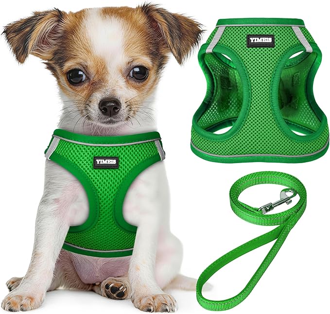 YIMEIS Dog Harness and Leash Set, No Pull Soft Mesh Pet Harness, Reflective Adjustable Puppy Vest for Small Medium Large Dogs, Cats (Green, Small (Pack of 1)
