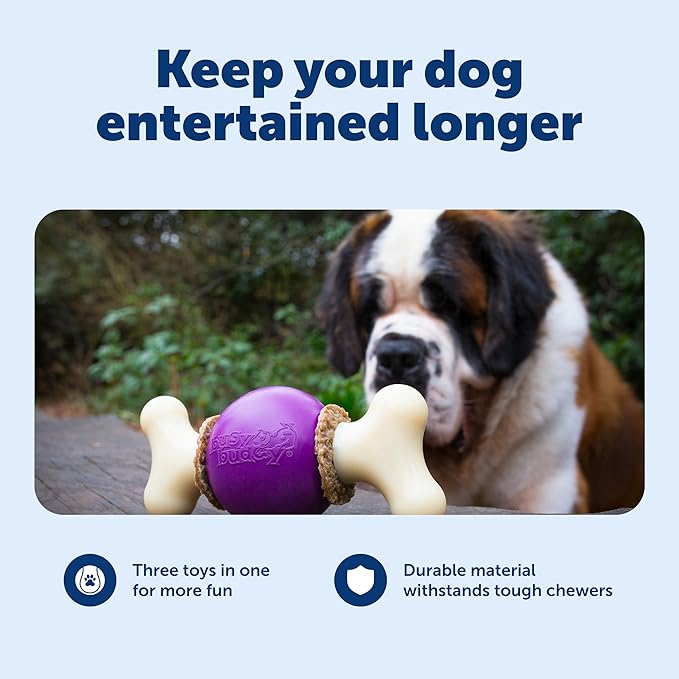PetSafe Busy Buddy Bouncy Bone, Treat Holding Dog Toy, Medium, Best for Dogs 10-50 Lb.