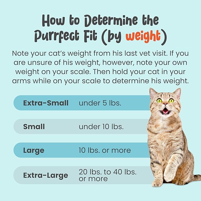 Cat-in-the-Bag Cozy Comfort Carrier - Extra Large Charcoal Cat Carrier Soft and Pet Carrier for Nail Clipping, Vet Visits, Medication Administration, Dental Care, and Traveling