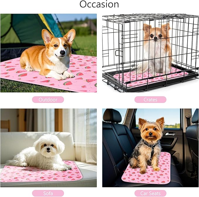 DELIFUR Cat Cooling Mat- Pet Cooling Mat Outdoor for Dogs Ice Pad for Kitten Cat Puppy Machine Washable (Small, Pink Watermelon)