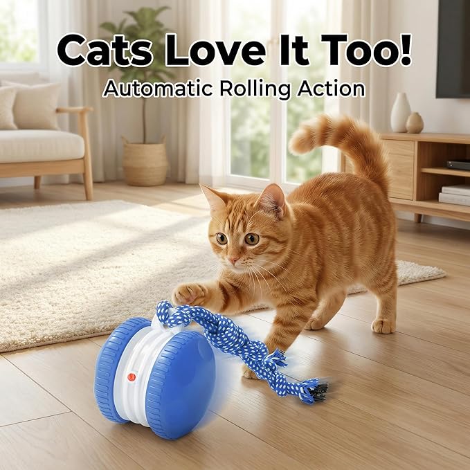 Interactive Cat Dog Toy Funny Automatic Moving Rolling Dog Toys with Rope for Small Medium Large Dogs Cats Rechargeable Puppy Toys Pet Ball to Keep Them Busy (Blue)