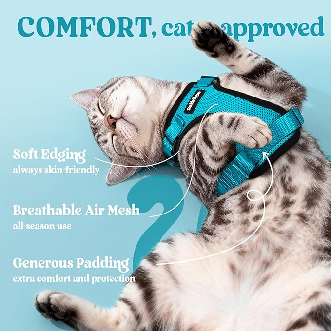 rabbitgoo Cat Harness and Leash Set, Escape Proof Vest Harness for Safe Outdoor Walks, Soft Breathable Adjustable Vest with Reflective Strips for Average to Large Cats, Teal, M
