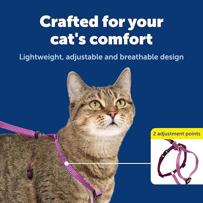 PetSafe Come with Me Kitty Harness and Bungee Leash Adjustable, Lightweight Harness for Cats Large, Dusty Rose