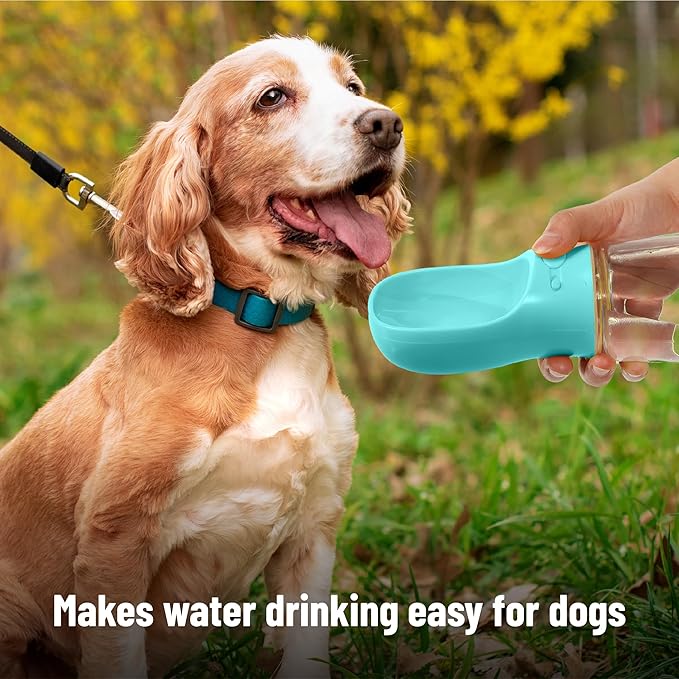 Mr. Pen- Portable Dog Water Bottle, 19 oz, Large, Leak Proof Puppy Water Dispenser with Drinking Feeder for Pets, Outdoor Walking, Hiking, Travel, Not Dishwasher Safe