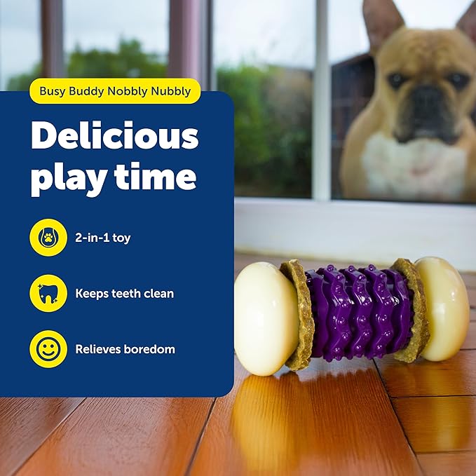 PetSafe Busy Buddy Nobbly Nubbly Treat Holding Dog Toy Strong Chewers Small