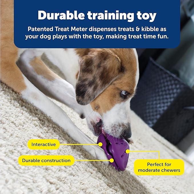 PetSafe Busy Buddy Twist 'n Treat Dispensing Dog Toy - Small