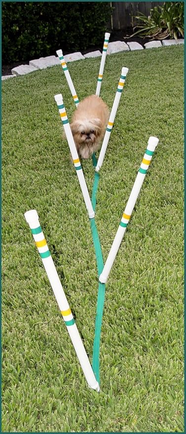 6 Stick in The Ground for Small Dog - Agility Equipment