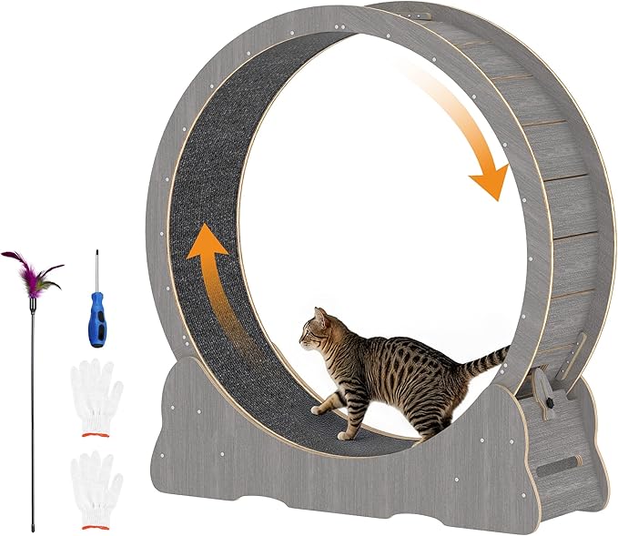 Cat Wheel for Indoor Cats, Quiet Large Cat Treadmill with Detachable Carpeted Runway, 46” Exercise Running Wheel for Pet’s Health and Entertainment, (XL, Gray)
