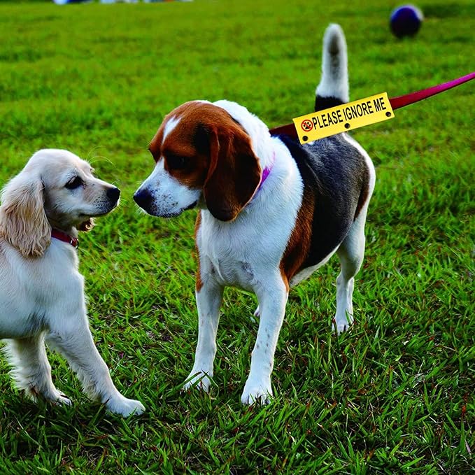 Funny Dog Leash Sleeve Please Ignore Me Dog Leash Wrap Sleeve Pet Birthday Gift (Please Ignore Me-YE Sleeve)