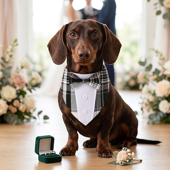 ADOGGYGO Black Dog Tuxedo Bandana, Plaid Bow Tie Collar, Adjustable Black Plaid Wedding Costume for Medium Dogs (M)