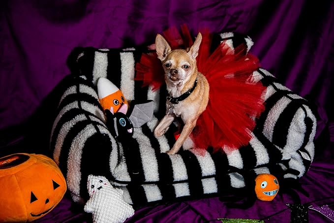 Glow Pups Halloween Hide and Seek Dog Toys, Crinkle Jack O Lantern with 4 Plush Squeak Toys, Durable Rope Handle, Interactive, Orange Halloween Pumpkin