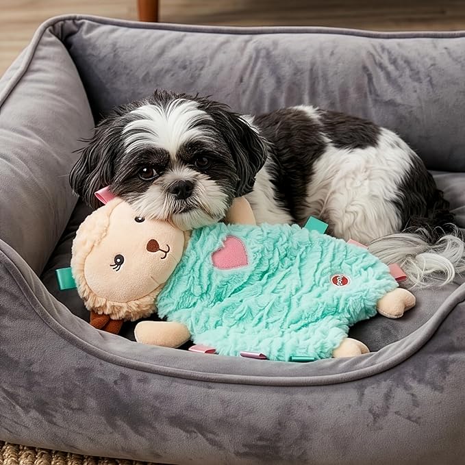 SPOT Soothers Tabbie Lambie Dog Toy - 8in Mini Stuffing-Free Calming Plush with Lavender Scent & Squeaker for Toy Breeds & Puppies, Anxiety Relief - 1 of 3 Assorted Colors, Sent at Random
