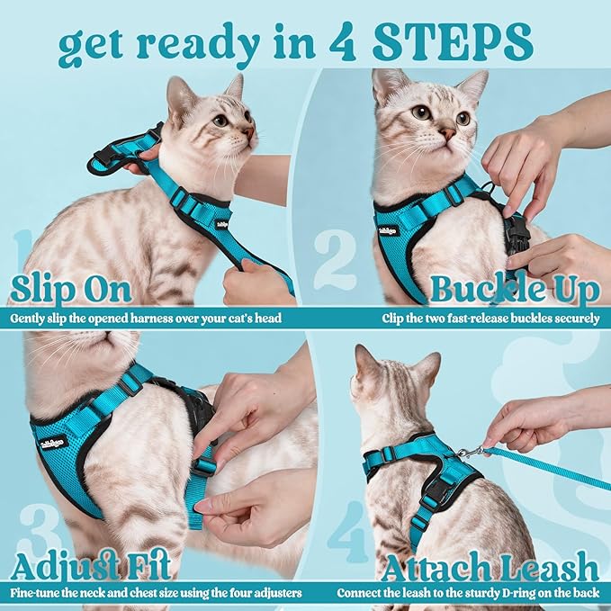 rabbitgoo Cat Harness and Leash Set, Escape Proof Kitten Harness for Safe Outdoor Walks, Soft Breathable Adjustable Vest with Reflective Strips for Kittens and Extra Small Cats, Teal, XXS