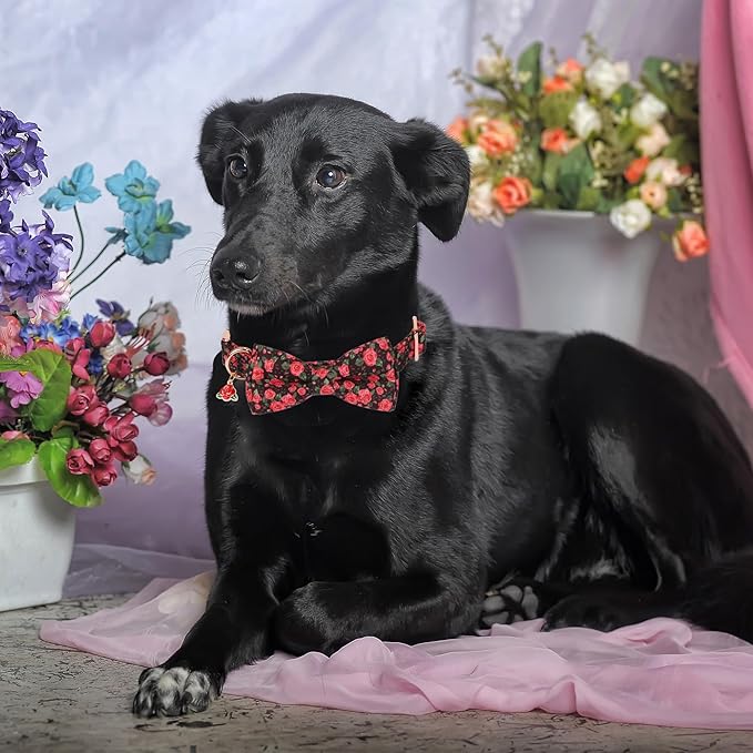 ADOGGYGO Floral Dog Collar with Bow, Metal Buckle, Adjustable Red Rose Floral Bowtie Collars for Extra Large Dogs (X-Large)