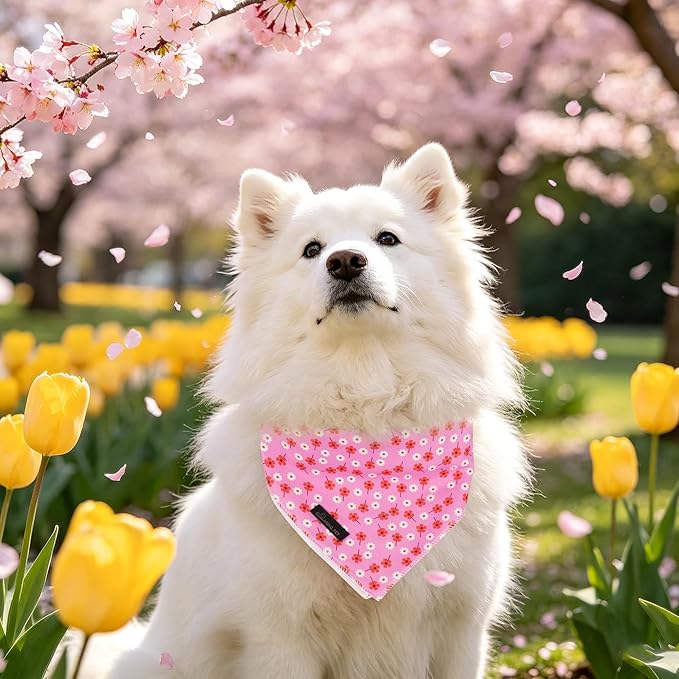 ARING PET Girl Dog Bandanas, Cute Summer Pink Daisy Floral Pet Bandana Scarf Triangle Bib for Small Medium Large Female Dogs Cats, Puppy Kerchief for Daily Wear Walks Party Photos-S