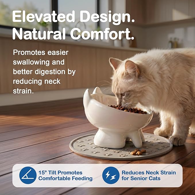 2 Pack Anti-Vomit Elevated Ceramic Cat Bowls with 2 Non-Slip Mats – Ceramic Whisker-Friendly Tilted Orthopedic Feeding Set, Ideal for Senior Cats & Small Dogs