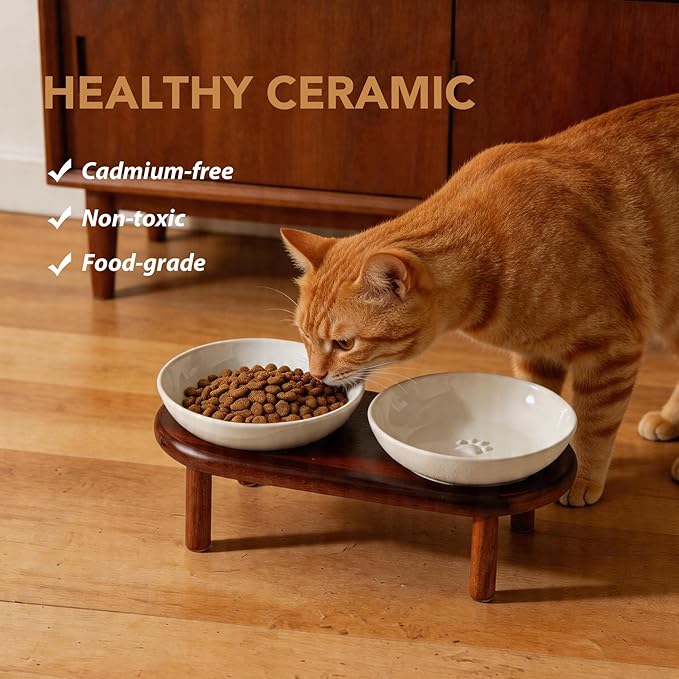 Havniva Elevated Cat Bowls Raised Ceramic Cat Bowl, 5.9” Wide Opening Cat Food Bowl Whisker Friendly Cat Dish Anti-Slip with Wood Stand, Shallow Pet Food & Water Bowl for Indoor Cats