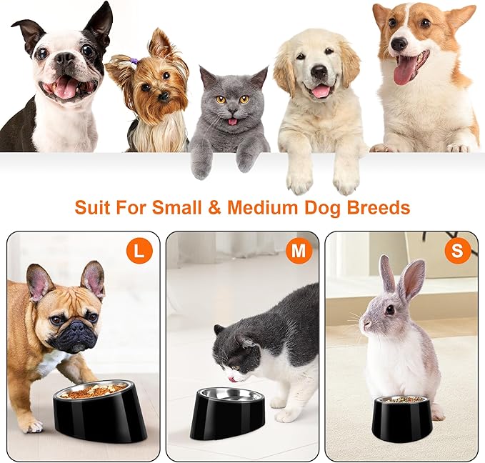 Tilted Dog Bowl Non-Slip & Non-Spill Pet Feeder with Elevated Detachable Melamine Stand, Easy to Get Food Dog Dish, S/100ml Black