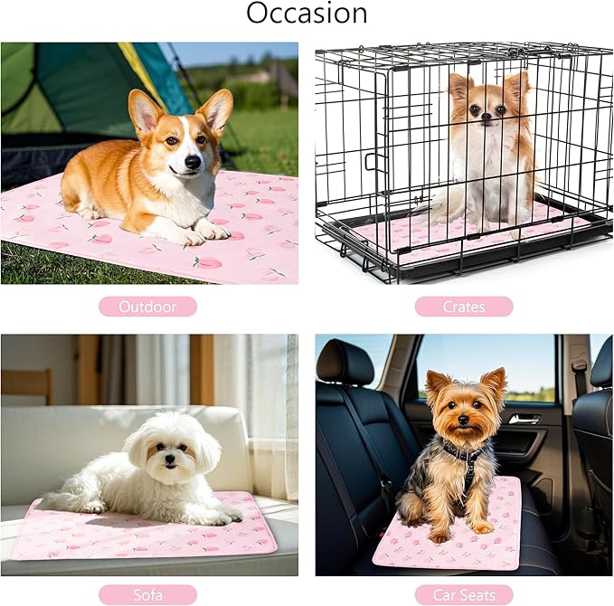 DELIFUR Dog Cooling Mat- Pet Cooling Mat Outdoor for Dogs Ice Pad for Puppy Small Medium Dog Machine Washable (Large, Pink Peach)