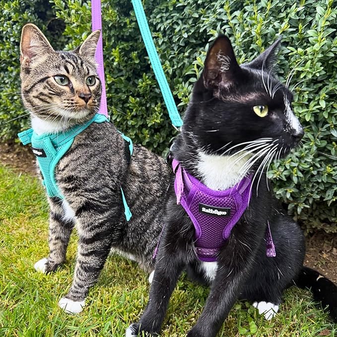 rabbitgoo Cat Harness and Leash, Escape Proof Vest with 3 Adjustable Buckles, Soft Comfortable Kitten Harness, Easy to Wear, Reflective for Safe Outdoor Walking, XS, Purple