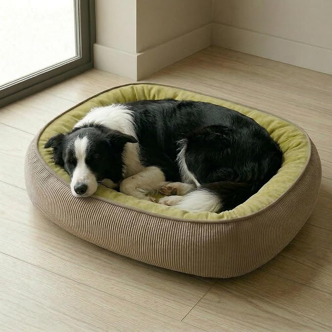 Calming Dog Bed for Medium to Large Dogs 30"x20" - Orthopedic Washable Pet Bed with Anti-Slip Bottom, Indoor Soft Cat Bed with Removable Cover (Lime Green)