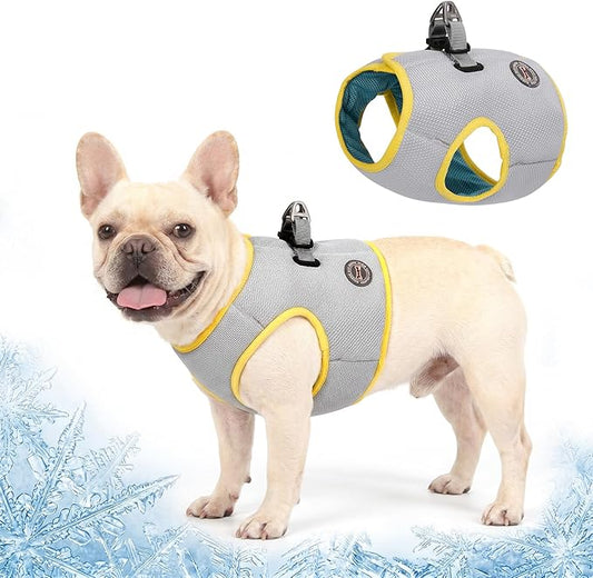 Huafly Dog Cooling Vest with Instant Chill-Heat Reflective Mesh Evaporative Dog Cooling Shirt,Adjustable Quick Release Cooling Harness for Dogs for Summer Walking,Hiking & Hot Weather (X-Small)