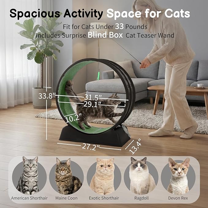 Outvita Cat Exercise Wheel for Indoor Cats, 31.5" Cat Treadmill with Detachable Carpet ＆ Locking Mechanism, Cats Running Wheel Helps Cats to Lose Weight and Keep Health, Easy Assembled (Black)
