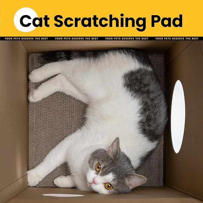 Conlun Cardboard Cat House with Scratch Pad & Catnip, Cat Play Scratching House for Indoor Hideaway Furniture, Heavy Duty Sturdy Cardboard Scratcher, Easy to Assemble Birthday Gift, Medium