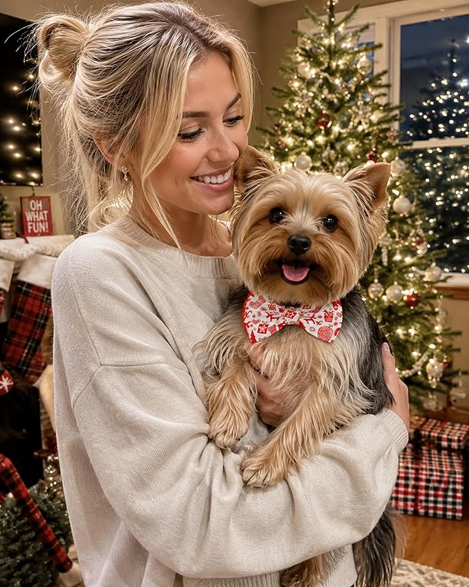 PET SHOW 10 Pack Holiday Small Dog Bow Ties Sliding Collar Attachments Puppy Cats Festival Bowties for Medium Dogs Fall Winter Bowknots Birthday Party Pet Grooming Accessories(Small)