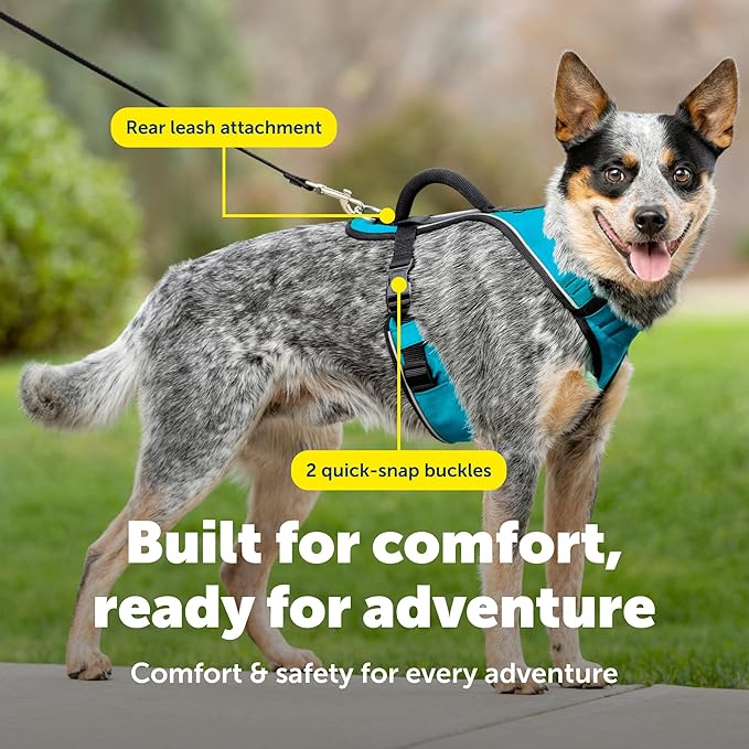 PetSafe EasySport Harness Padded Straps Fully Adjustable Elastic Neckline Best for Athletic Dogs Top Handle for Quick Control - Medium - Teal