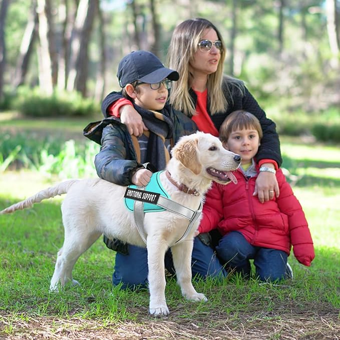 VOOPET Emotional Support Dog Harness, Professional Service Dog Vest for Small Medium Large Dogs, Reflective Breathable Adjustable No Pull/Choke ESA Essential Harness