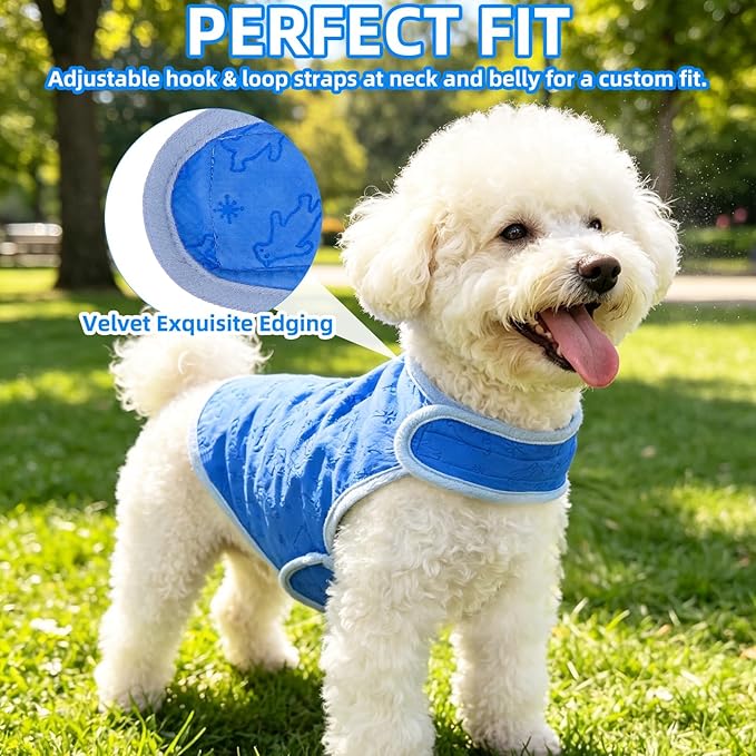 PUPTECK Dog Cooling Vest, Breathable Mesh PVA Dog Shirt, Lightweight Soft Instant Chill Sleeveless Pet Clothes, Adjustable Cooler Jacket Puppy Outfit for Hot Summer Outdoor, Blue S