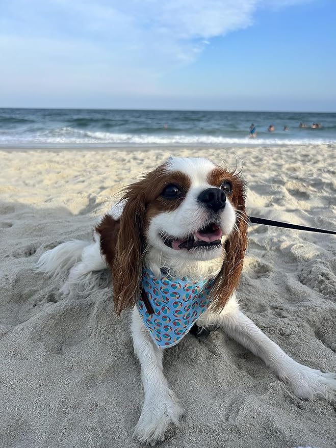 Lionet Paws Dog Bandana,Fabric Summer Dogs Kerchief for Small Medium Large Dogs,Dog Cotton Triangle Bibs Scarf for Girl Boy