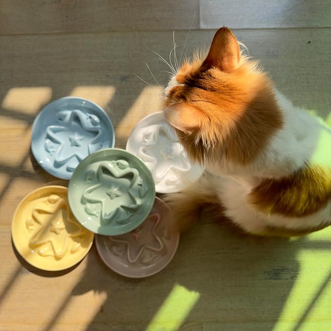 Cat Slow Feeder Bowl – Whisker Friendly Melamine Puzzle Feeding Bowl for Slow Eating – Wet & Dry Food – Dishwasher Safe, Lightweight, Non-Slip (Coral Pink, 6.3'')