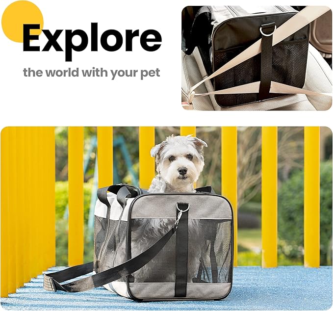 Conlun Dog Carrier Soft Sided, Large Cat Carrier with Inner Safety Leash, Pet Transport Carrier for Large Cats and Medium Dogs up to 20 Lbs, Collapsible Travel Puppy Carrier Bag -Purple L
