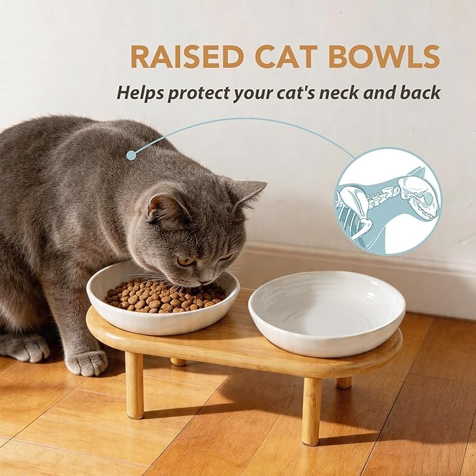 Havniva Elevated Cat Bowls Raised Ceramic Cat Bowl, 5.9” Wide Opening Cat Food Bowl Whisker Friendly Cat Dish Anti-Slip with Bamboo Stand, Shallow Pet Food & Water Bowl for Indoor Cats