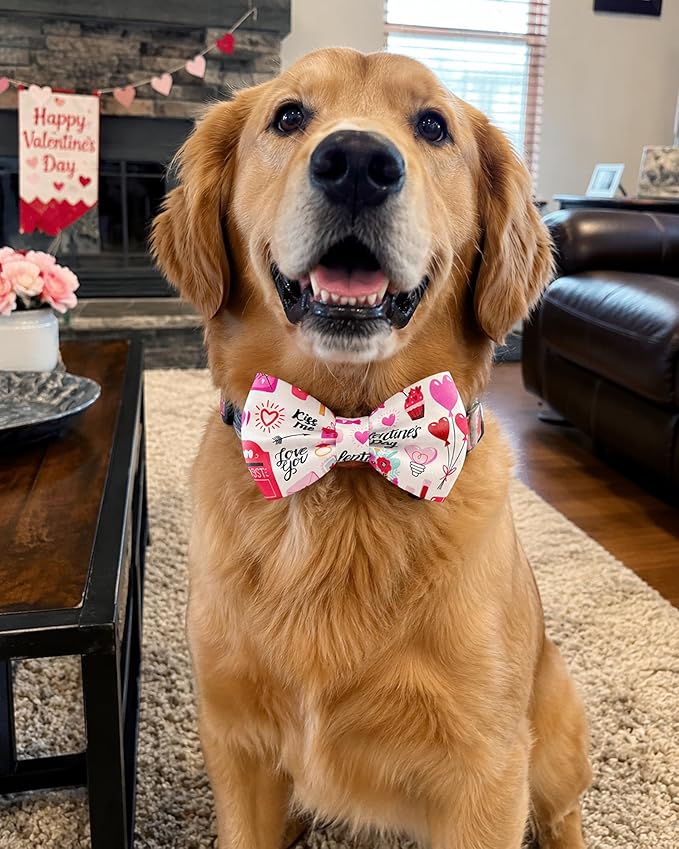 PET SHOW 10 Pack Holiday Big Dog Bow Ties for Large Medium Dogs Alpaca Sliding Collar Attachments Festival Bowties Spring Summer Bowknots Birthday Party Pet Grooming Accessories(Large)