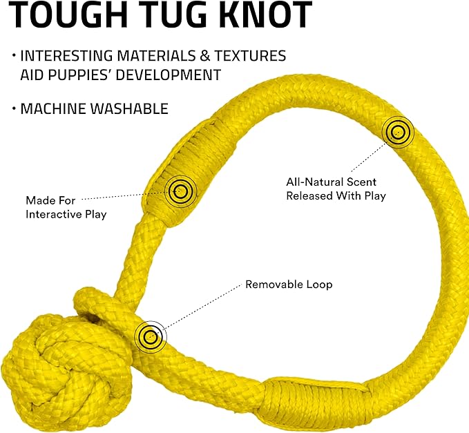 Playology Dog Toys | Tough Tug Knot for Puppies and Young Dogs | Chicken Scented Medium Chew Toy Tug Rope | Tug of War Puppy Essentials