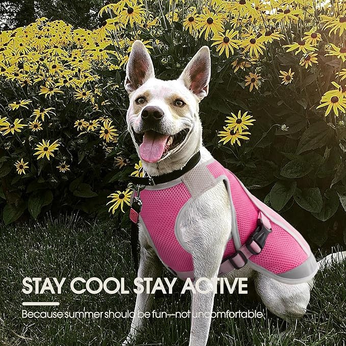 Kuoser Dog Cooling Vest for Dogs, Lightweight Dog Cooling Harness Shirt with Reflective Stripe, Breathable Mesh Cooler Jacket Pet Cool Vest for Small Medium Large Dogs Summer Hot Weather, Pink S