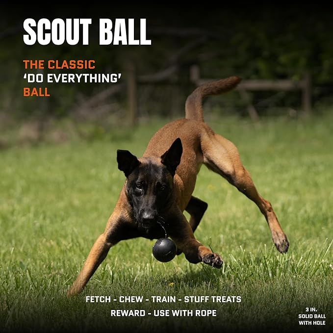Monster K9 Scout Ball | Virtually Indestructible. Lifetime Guaranteed. | VULCRON™ Natural Rubber | Durable Dog Toy for Aggressive Chewers | Tough, Heavy Duty | Medium & Large Breed, 3" Pack of 2