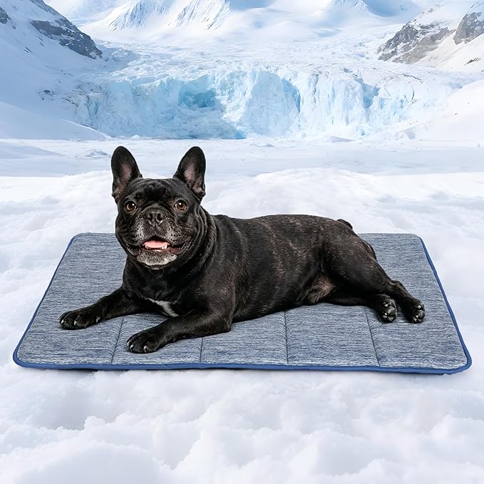 Dog Cooling Mat for Medium Dogs - 30x20 Orthopedic Memory Foam Pet Pad for Summer, QMAX>0.5, Washable Premium Comfort Crate Pad for Your Furry Companion, Wander Blue