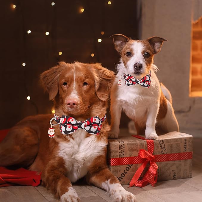 ADOGGYGO Christmas Dog Collar with Detachable Bowtie, Adjustable Red Santa Pet Christmas Bow Collars for Small Medium Large Dogs (Small)