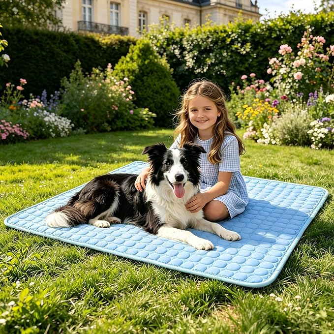 SOMOYA Cooling Mat for Dogs (Q-Max>0.4) Pet Cooling Pads Blanket Sleeping Kennel Mat,Ice Silk Cool Mat Pad Breathable Dog Bed Mats Beach for Large Dogs Cats (Blue, 27x39 in)
