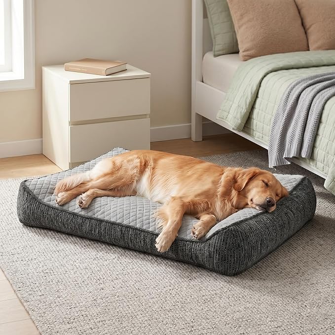 JOEJOY XL Orthopedic Dog Bed for Large Dogs Up to 80lbs - Extra Thick Foam Pet Bed Sofa with Bolster Sides, Large Sized Dog Bed with Removable Washable Cover, Non-Slip Bottom, Light Grey (42"x30")