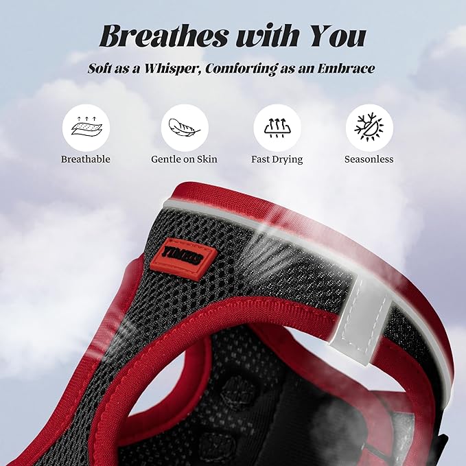YIMEIS Dog Harness and Leash Set, No Pull Soft Mesh Pet Harness, Reflective Adjustable Puppy Vest for Small Medium Large Dogs, Cats (Black & red 01, Small (Pack of 1)