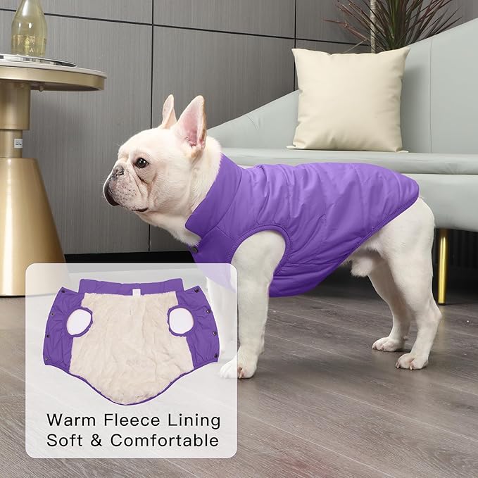 JoyDaog 2 Layers Fleece Lined Warm Dog Jacket for Winter Cold Weather,Soft Windproof Medium Dog Coat,Purple L