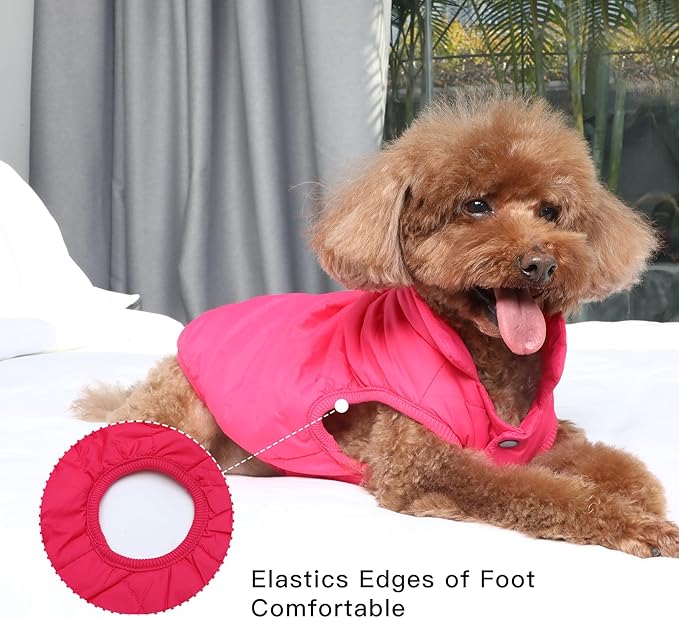 JoyDaog 2 Layers Fleece Lined Warm Dog Jacket for Puppy Winter Cold Weather,Soft Windproof Small Dog Coat,Pink S