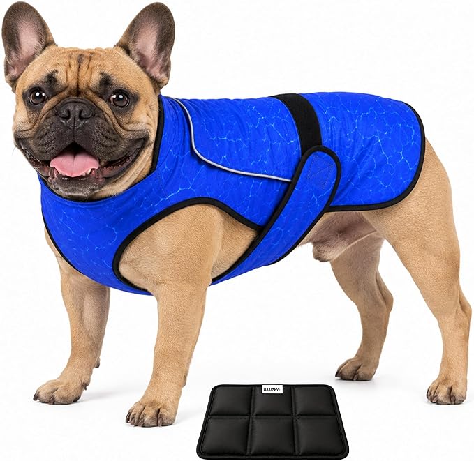 Dog Cooling Vest with Ice Pack – 2-Layer Evaporative Cooling Jacket with High Collar, UV Protection & Size-Matched Ice Pack – Cooling Vest for Dogs for Hot Weather (Blue Aqua, Medium)